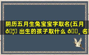 阴历五月生兔宝宝字取名(五月 🦉 出生的孩子取什么 🕸 名字好)